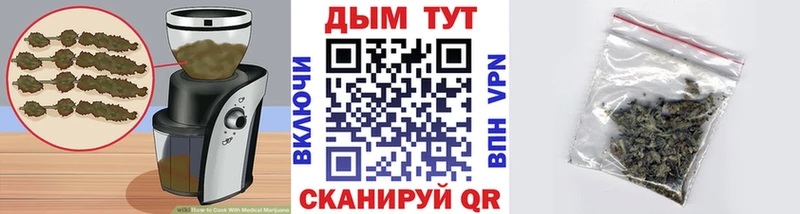 Купить где  Жиздра  Canna-Cookies конопля 