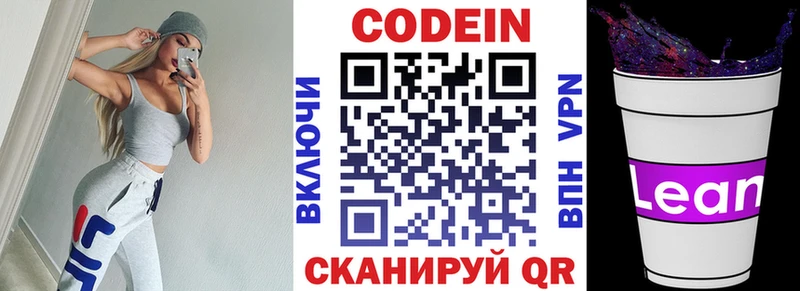 Купить закладки  Жиздра  Кодеин Purple Drank 