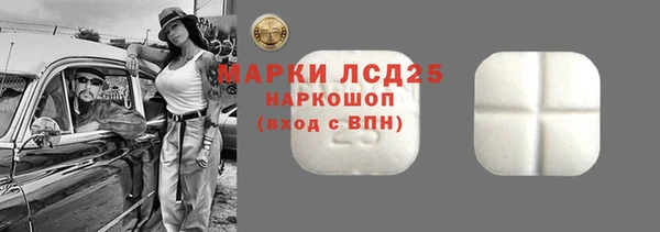 прущий лед Алзамай