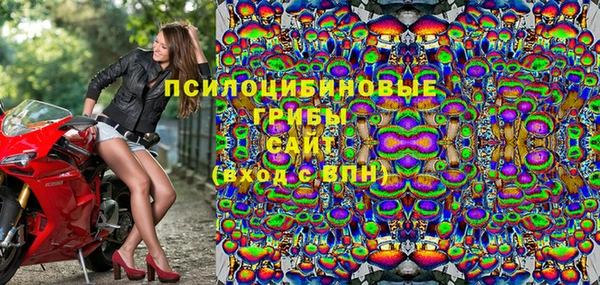винт Алексин