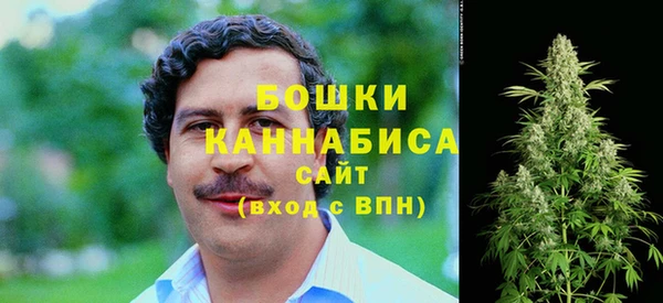 винт Алексин